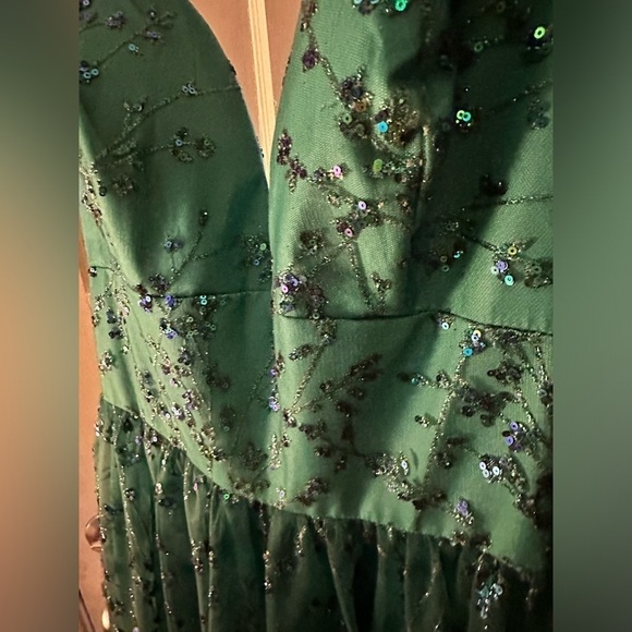 Blush by Alexia Designs - 20340 Embroidered Lace Sleeveless Gown - Picture 2 of 13